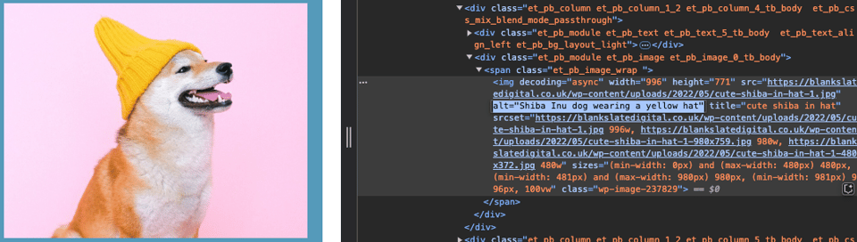 A screenshot of an example image alt text. It is a shiba inu dog wearing a yellow hat and Chrome Dev Tool inspect showing the HTML with respective image alt text.