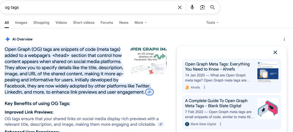 Open Graph Meta Tag Google Search Screenshot showing the AI overview